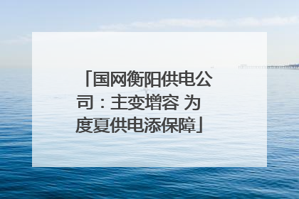 国网衡阳供电公司：主变增容 为度夏供电添保障