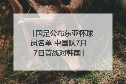 国足公布东亚杯球员名单 中国队7月7日首战对韩国
