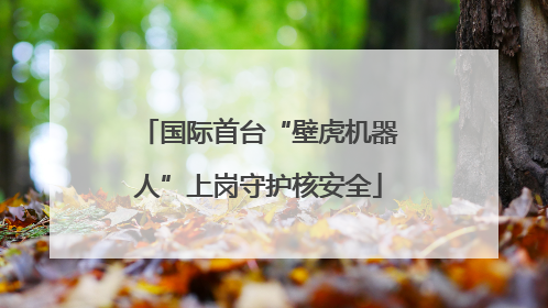 国际首台“壁虎机器人”上岗守护核安全