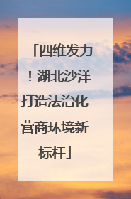 四维发力！湖北沙洋打造法治化营商环境新标杆