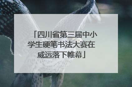 四川省第三届中小学生硬笔书法大赛在威远落下帷幕