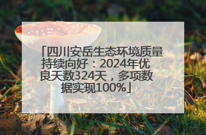 四川安岳生态环境质量持续向好：2024年优良天数324天，多项数据实现100%