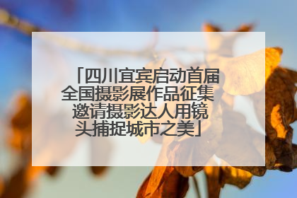 四川宜宾启动首届全国摄影展作品征集 邀请摄影达人用镜头捕捉城市之美