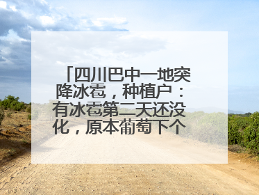 四川巴中一地突降冰雹，种植户：有冰雹第二天还没化，原本葡萄下个月上市，现在全被打落