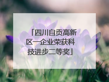 四川自贡高新区一企业荣获科技进步二等奖