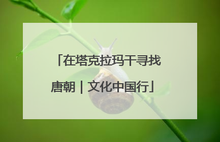 在塔克拉玛干寻找唐朝｜文化中国行