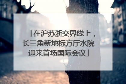 在沪苏浙交界线上，长三角新地标方厅水院迎来首场国际会议
