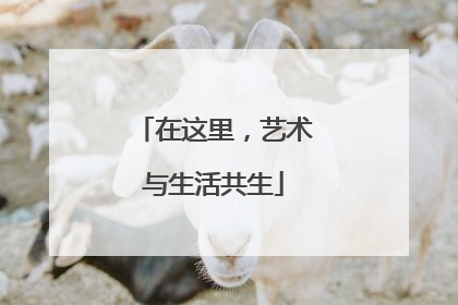在这里，艺术与生活共生