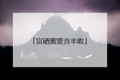 富硒紫麦喜丰收
