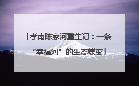 孝南陈家河重生记：一条“幸福河”的生态蝶变