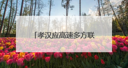 孝汉应高速多方联动筑牢安全防线