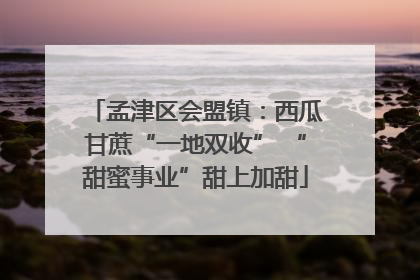 孟津区会盟镇：西瓜甘蔗“一地双收” “甜蜜事业”甜上加甜