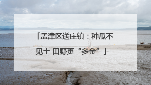 孟津区送庄镇：种瓜不见土 田野更“多金”