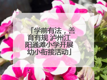 学前有法，善育有规 泸州江阳通滩小学开展幼小衔接活动
