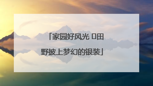 家园好风光 ⎮田野披上梦幻的银装