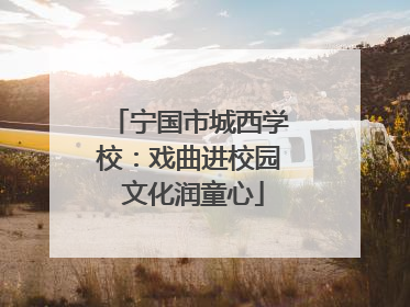 宁国市城西学校：戏曲进校园 文化润童心