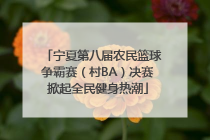 宁夏第八届农民篮球争霸赛（村BA）决赛掀起全民健身热潮