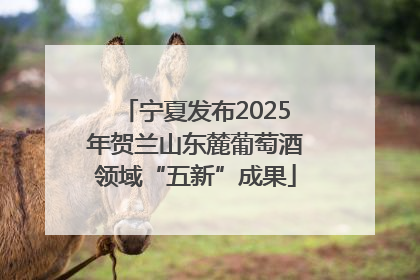 宁夏发布2025年贺兰山东麓葡萄酒领域“五新”成果