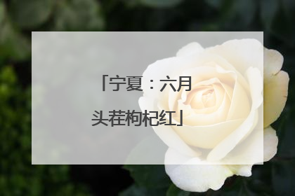 宁夏：六月头茬枸杞红