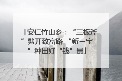 安仁竹山乡：“三板斧”劈开致富路 “新三宝”种出好“钱”景