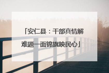 安仁县：干部真情解难题一面锦旗映民心