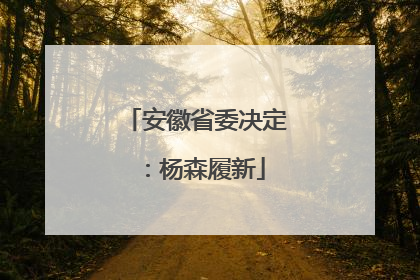 安徽省委决定：杨森履新