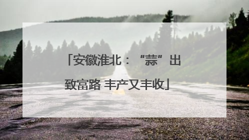 安徽淮北：“蒜”出致富路 丰产又丰收