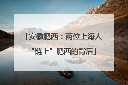 安徽肥西：两位上海人“链上”肥西的背后