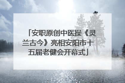 安职原创中医操《灵兰古今》亮相安阳市十五届老健会开幕式