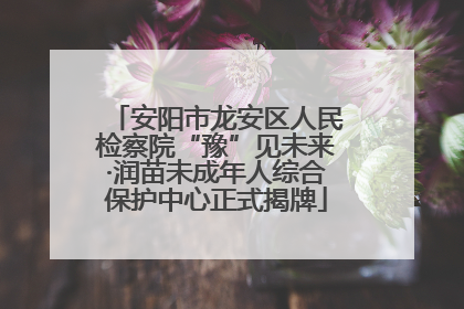 安阳市龙安区人民检察院“豫”见未来·润苗未成年人综合保护中心正式揭牌