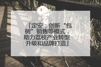 定安：创新“包树”销售等模式，助力荔枝产业转型升级和品牌打造