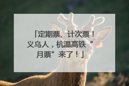 定期票、计次票！义乌人，杭温高铁“月票”来了！