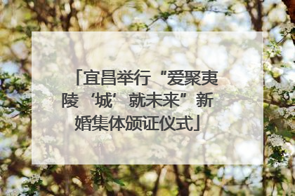 宜昌举行“爱聚夷陵‘城’就未来”新婚集体颁证仪式