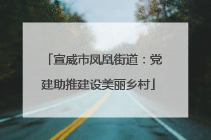 宣威市凤凰街道：党建助推建设美丽乡村