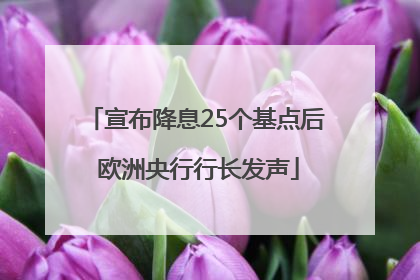 宣布降息25个基点后 欧洲央行行长发声