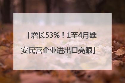 增长53%！1至4月雄安民营企业进出口亮眼