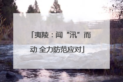 夷陵：闻“汛”而动 全力防范应对