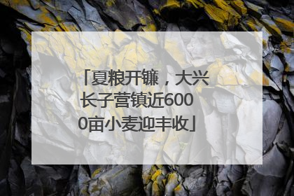 夏粮开镰，大兴长子营镇近6000亩小麦迎丰收