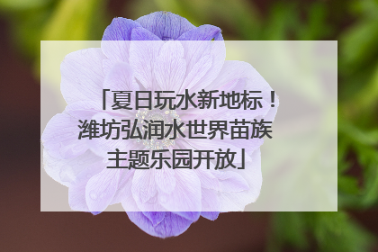 夏日玩水新地标！潍坊弘润水世界苗族主题乐园开放