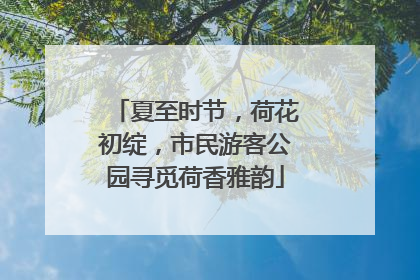 夏至时节，荷花初绽，市民游客公园寻觅荷香雅韵