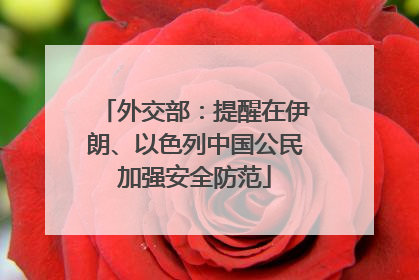外交部：提醒在伊朗、以色列中国公民加强安全防范