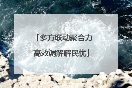 多方联动聚合力 高效调解解民忧