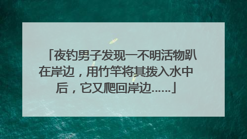 夜钓男子发现一不明活物趴在岸边，用竹竿将其拨入水中后，它又爬回岸边……