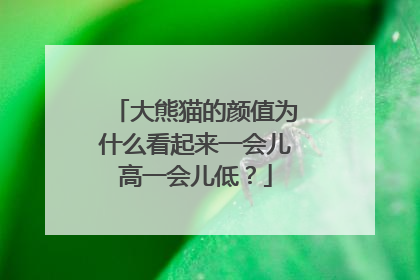 大熊猫的颜值为什么看起来一会儿高一会儿低？