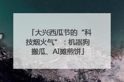 大兴西瓜节的“科技烟火气”：机器狗搬瓜、AI摊煎饼