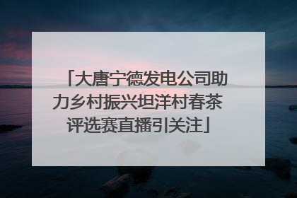 大唐宁德发电公司助力乡村振兴坦洋村春茶评选赛直播引关注