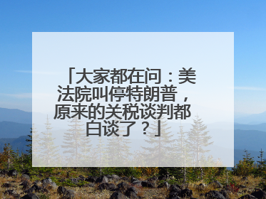 大家都在问：美法院叫停特朗普，原来的关税谈判都白谈了？
