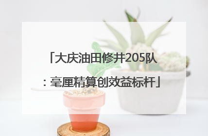 大庆油田修井205队：毫厘精算创效益标杆
