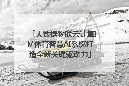大数据物联云计算IM体育智慧AI系统打造全新关键驱动力