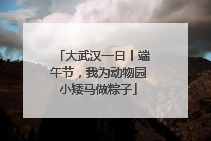 大武汉一日丨端午节，我为动物园小矮马做粽子